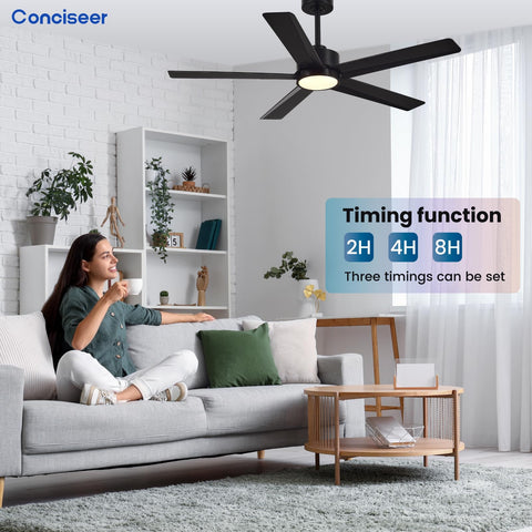 Conciseer easy installation with clear instructions and support.