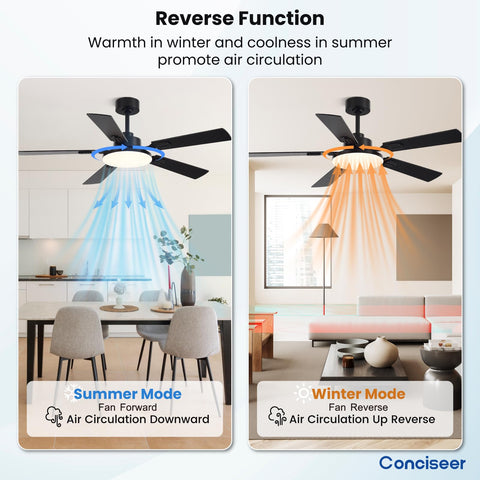 Conciseer easy installation with clear manual and support