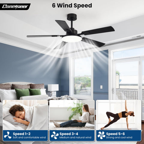 Conciseer indoor and covered outdoor use suited for patios and porches