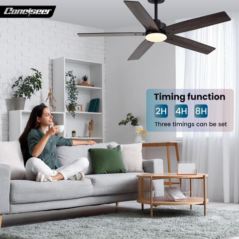 Conciseer energy-efficient operation supports long-term comfortable use.