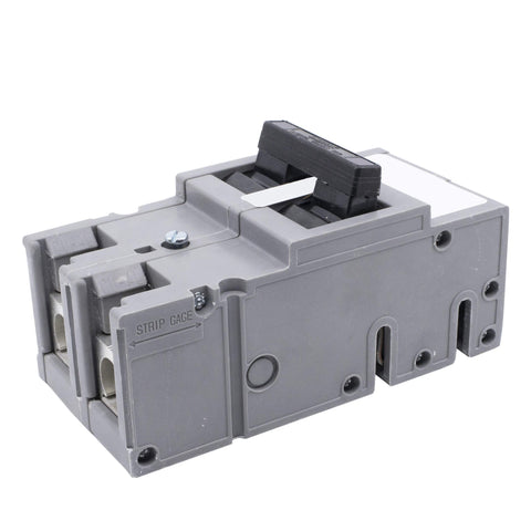 Connecticut Electric UBITBFP2002 main breaker in gray for Zinsco panels, plug-in design.