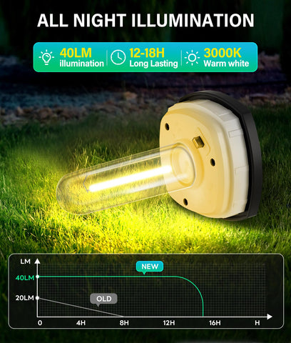 COXSENI solar pathway lights along a path provide an even, welcoming glow