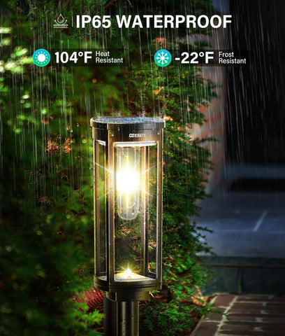 COXSENI pathway lights illuminate driveways, lawns, and patios with a warm glow.