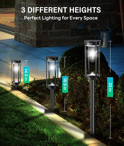 COXSENI solar path light at night providing even illumination for safe walking