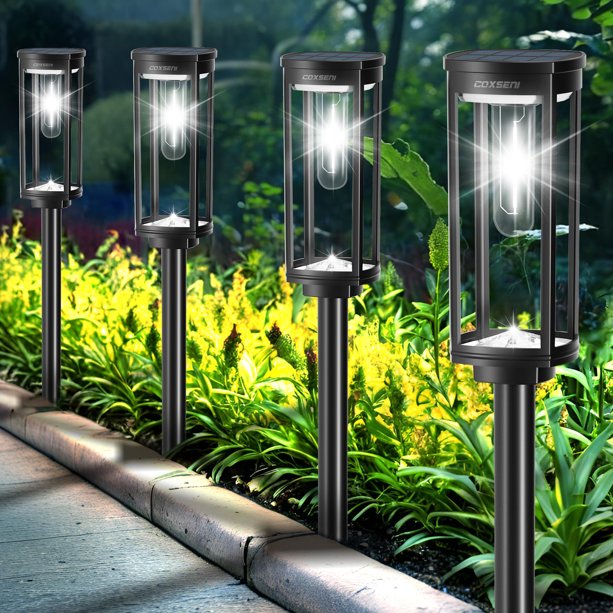 COXSENI solar path light stake for durable outdoor lighting along walkways