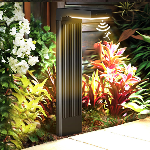 COXSENI IP65 weatherproof rating protects against rain and frost