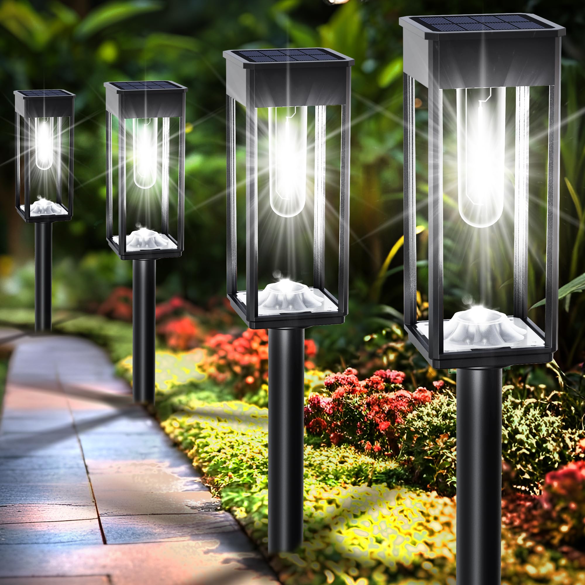 COXSENI solar pathway lights illuminate the front yard for curb appeal and guidance.
