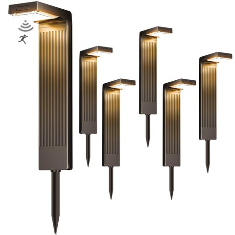 COXSENI solar pathway lights six-pack front view for enhanced night safety.