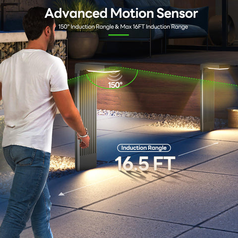 COXSENI solar pathway lights six-pack side view highlighting durable housing.