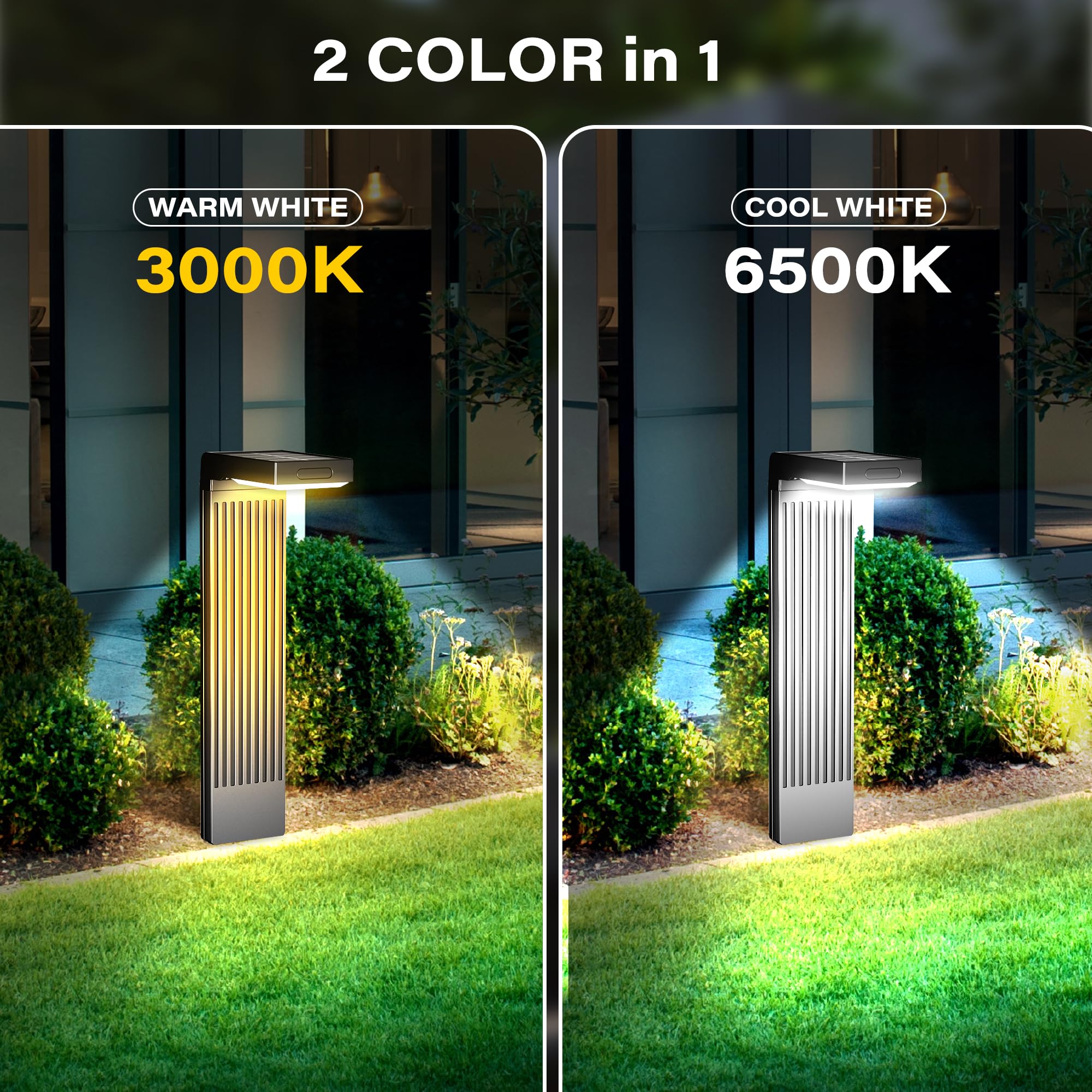 COXSENI motion-sensor activation demonstrates energy-saving security lighting.