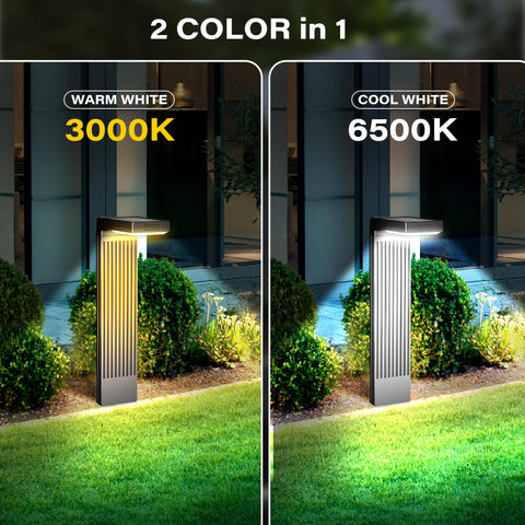 COXSENI motion-sensor activation demonstrates energy-saving security lighting.