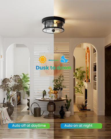 Craftersmark outdoor ceiling light dusk-to-dawn mode — hands-free night lighting.