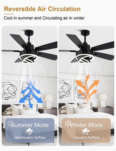Curve Curio reversible blades for seasonal airflow adaptation