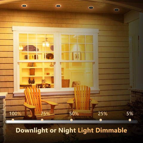 CycevSun canless outdoor soffit light designed for sheltered exterior spaces