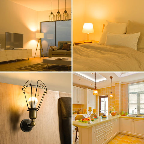 CYLYT indoor/outdoor LED bulb for sheltered spaces