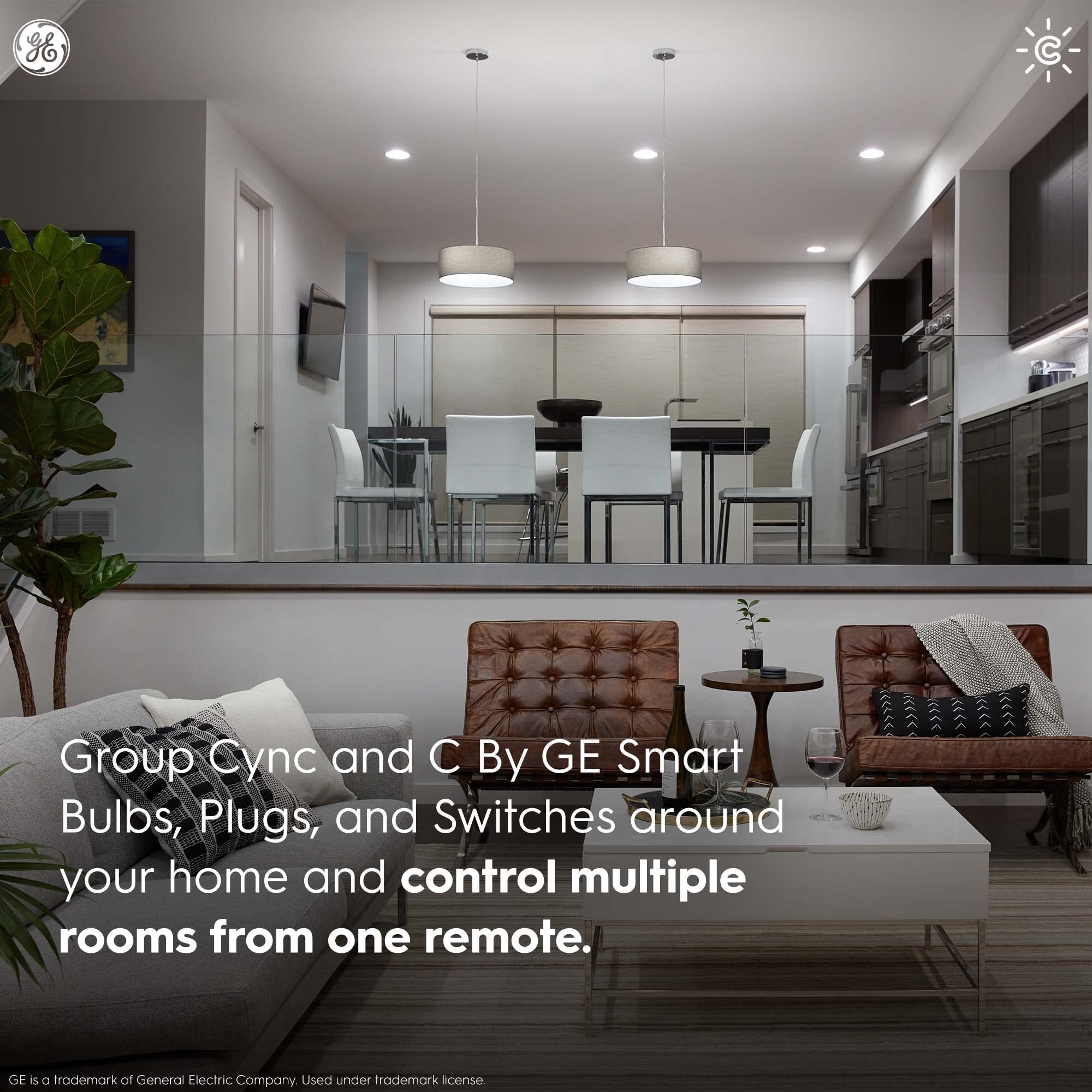 Remote controls bulbs switches and plugs for unified lighting