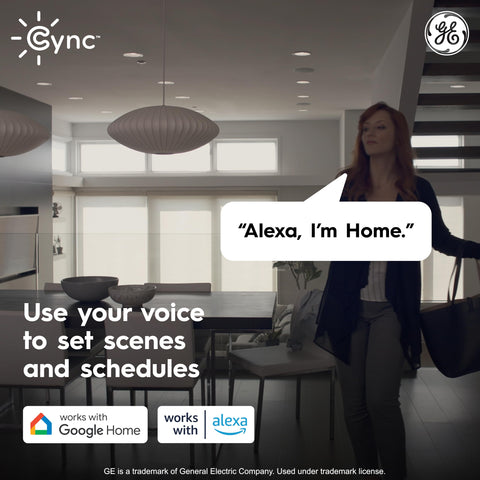 Cync Reveal HD+ linking cables enable scalable multi-light setups.