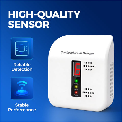 Daffypop gas detector RV setup for mobile protection