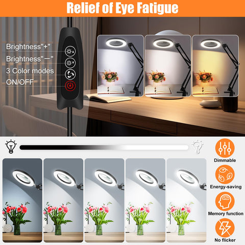 Dagirt LED magnifying lamp with 72 LEDs delivers bright, even illumination.