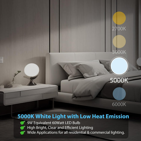 Dalattin A19 LED bulb, 80+ CRI for true colors in any room.