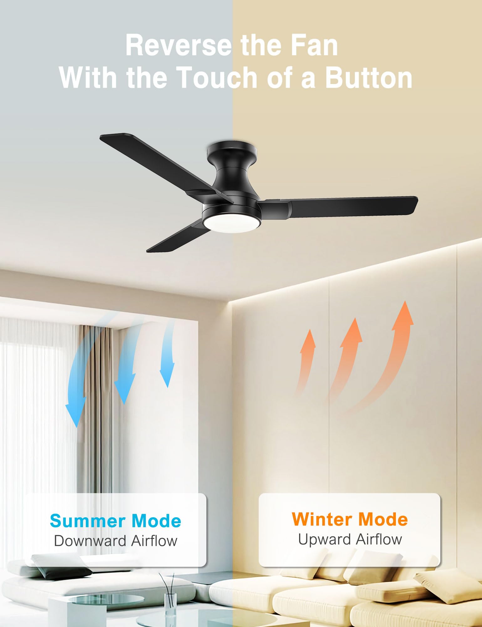 DAMINY night light mode provides gentle illumination for late-night use