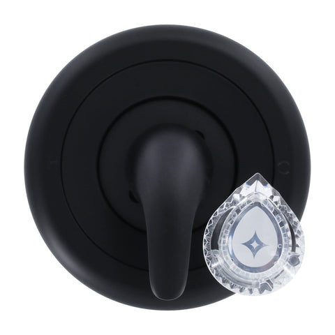 Danco 11083 matte black trim with faceplate updates Moen shower aesthetics.
