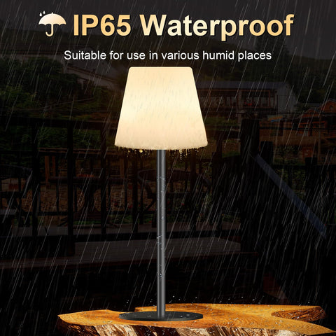 Dansny detachable portable lamp with adjustable height