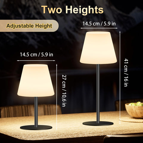 Dansny RGB and warm white LED lamp for mood lighting