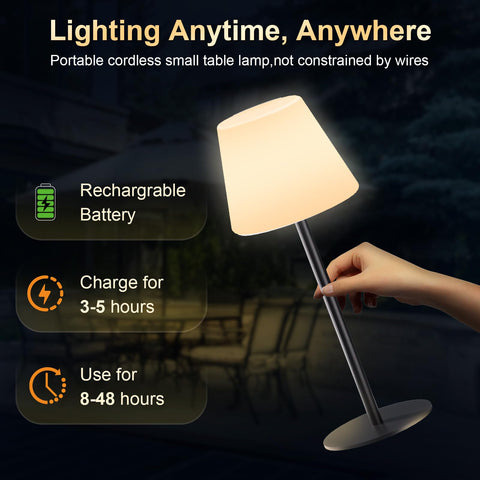 Dansny remote-controlled memory function table lamp for easy setup