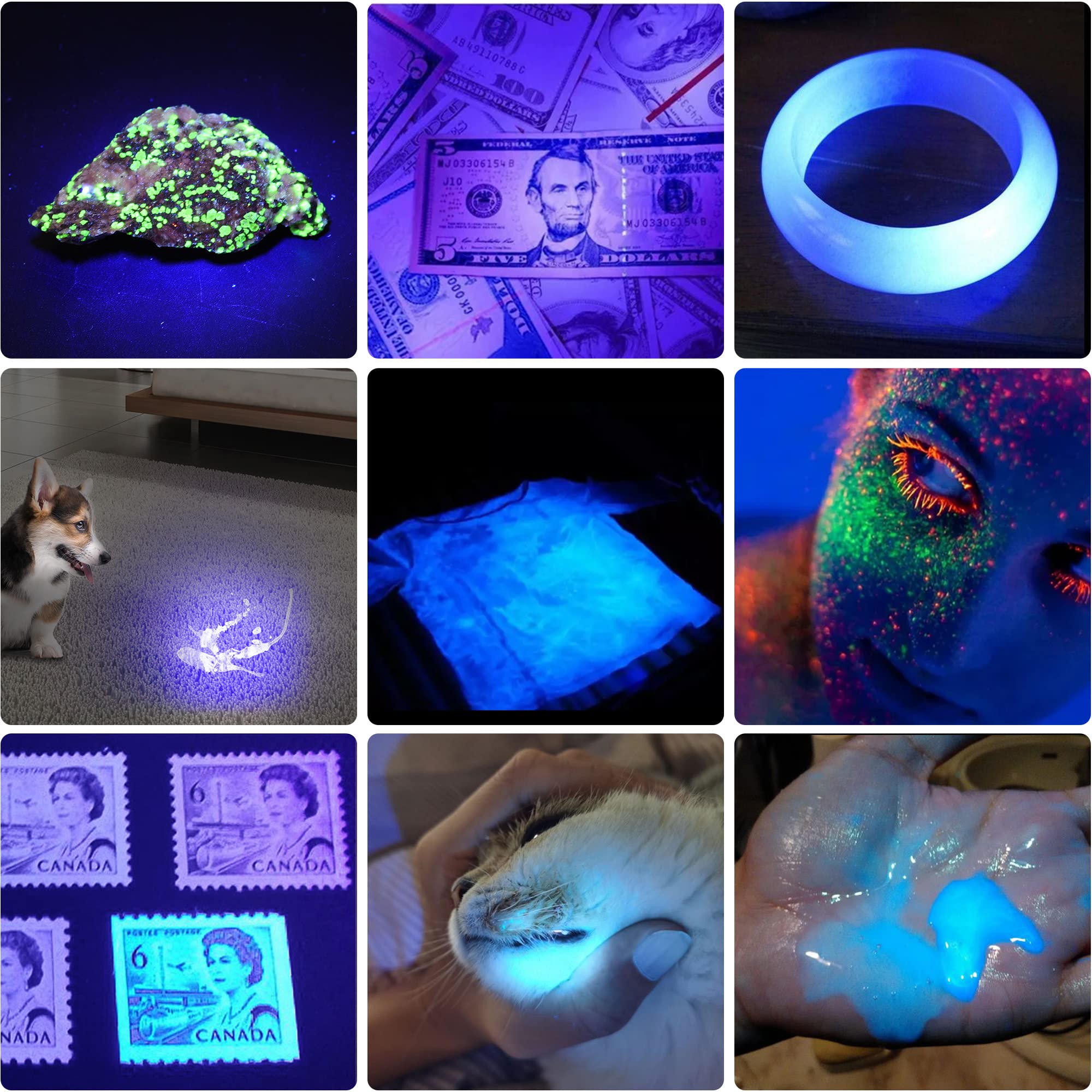DARKBEAM pet urine detection UV light reveals hidden marks.