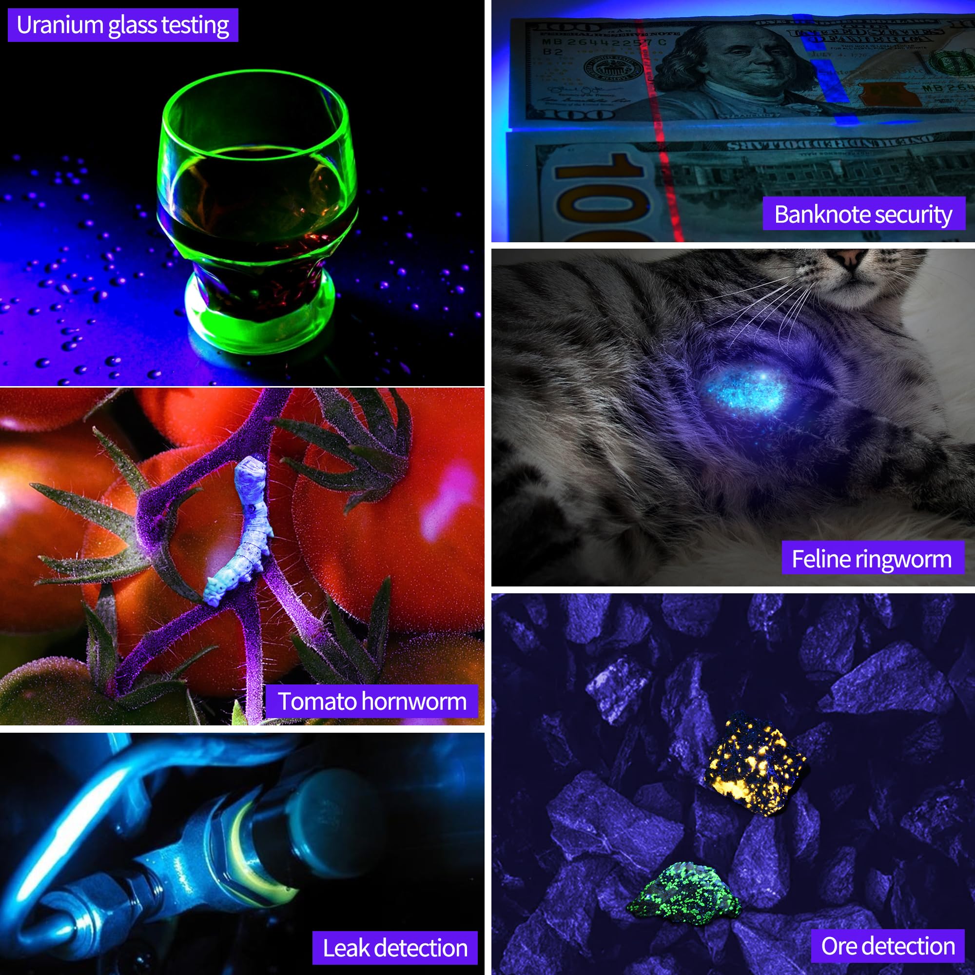 Darkbeam helps detect urine and stains with fluorescence