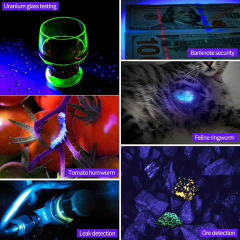 Darkbeam helps detect urine and stains with fluorescence