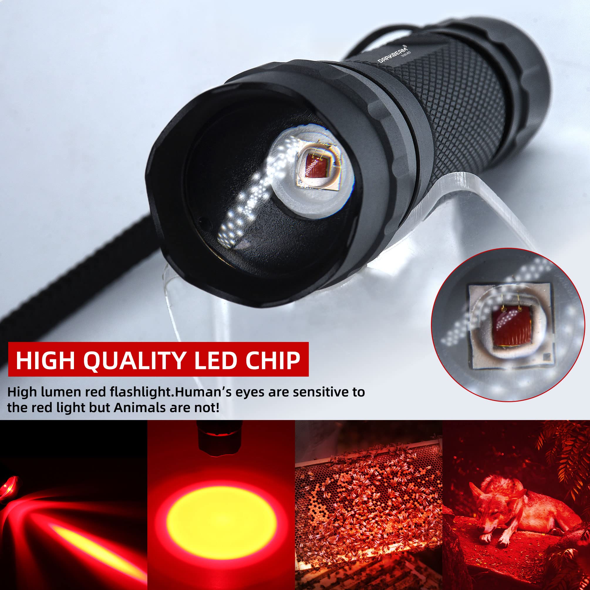 DARKBEAM red light flashlight with zoom mechanism showing adjustable beam.