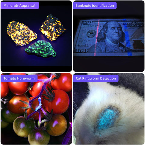 Darkbeam UV flashlight reveals glow paints and uranium glass easily