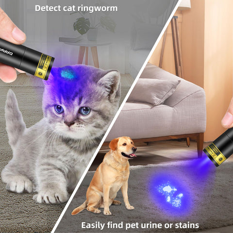 Darkbeam USB-C rechargeable UV flashlight ready for quick use