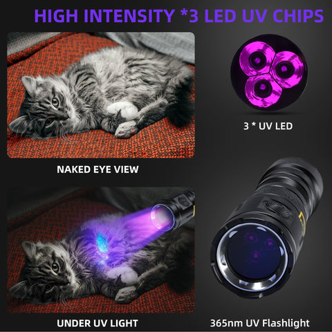 DARKDAWN IPX4 waterproof UV flashlight for humid conditions.