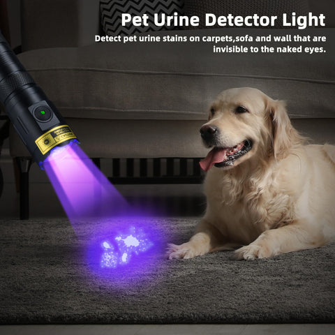 DARKDAWN UV flashlight USB-C charging port close-up for easy recharging.
