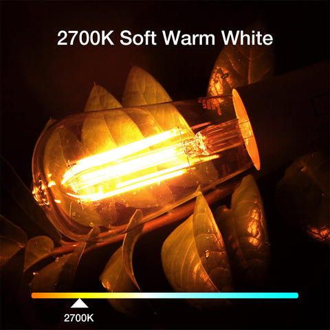 DAYBETTER 8W filament bulb shows warm white glow for cozy living rooms