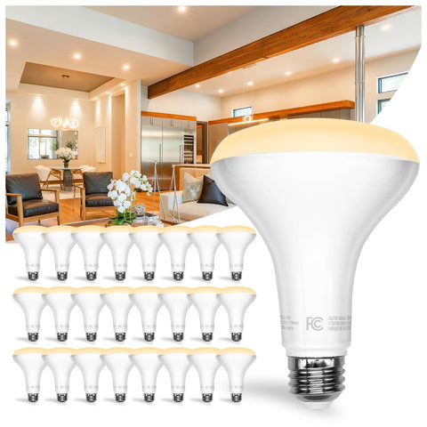 DAYBETTER BR30 dimmable bulb close-up for adjustable brightness in living spaces