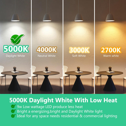 DAYBETTER BR30 LED bulb dimmed scene showing adjustable brightness