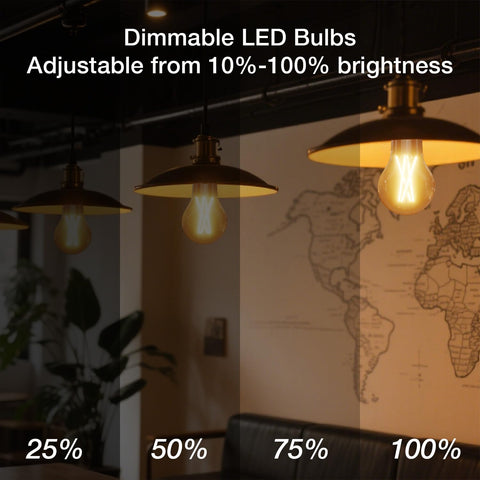 DAYBETTER clear glass filament bulb showing vintage style and clear glow.