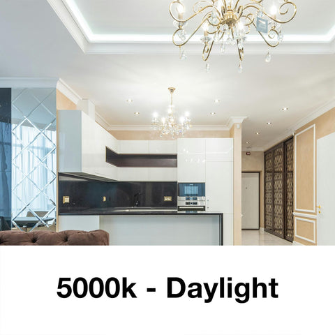 DAYBETTER LED filament bulb with clear glass design for elegant home lighting