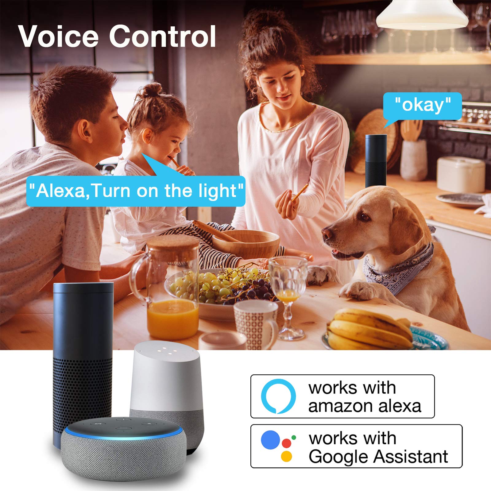 DAYBETTER bulb with Alexa and Google voice control.