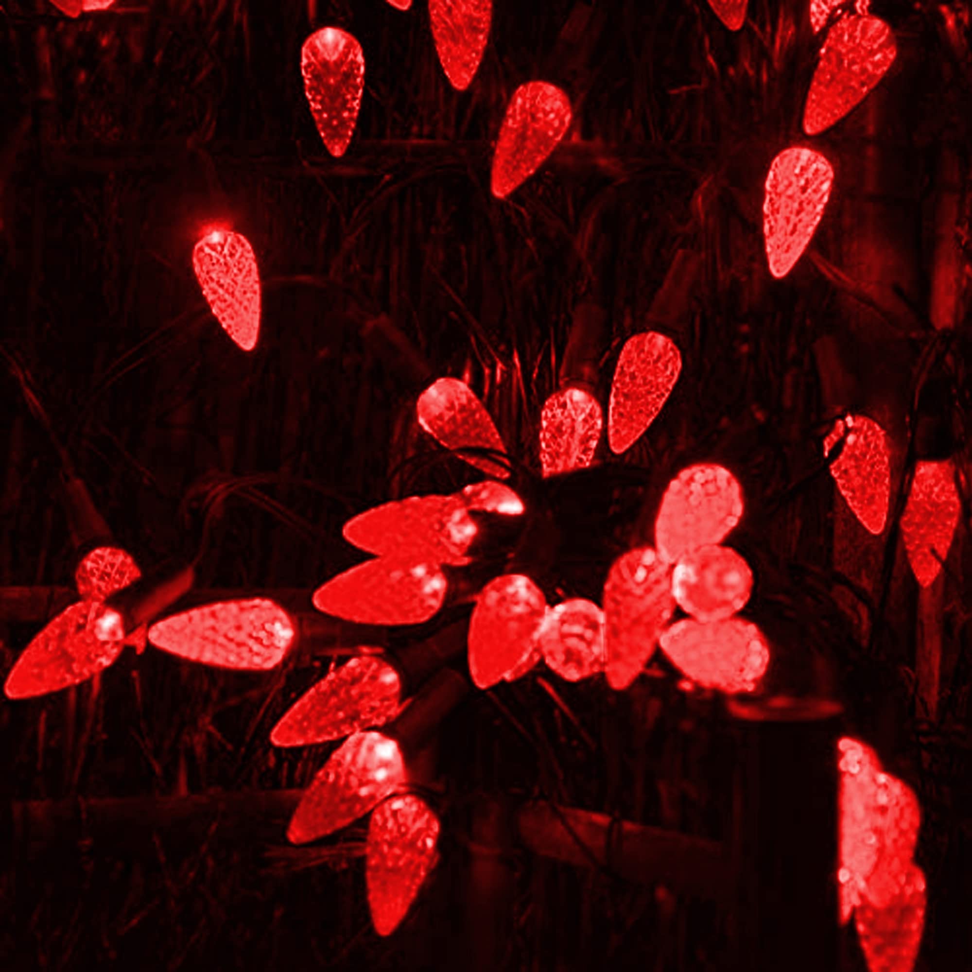 Dazzle Bright C6 Christmas lights for trees and patios.