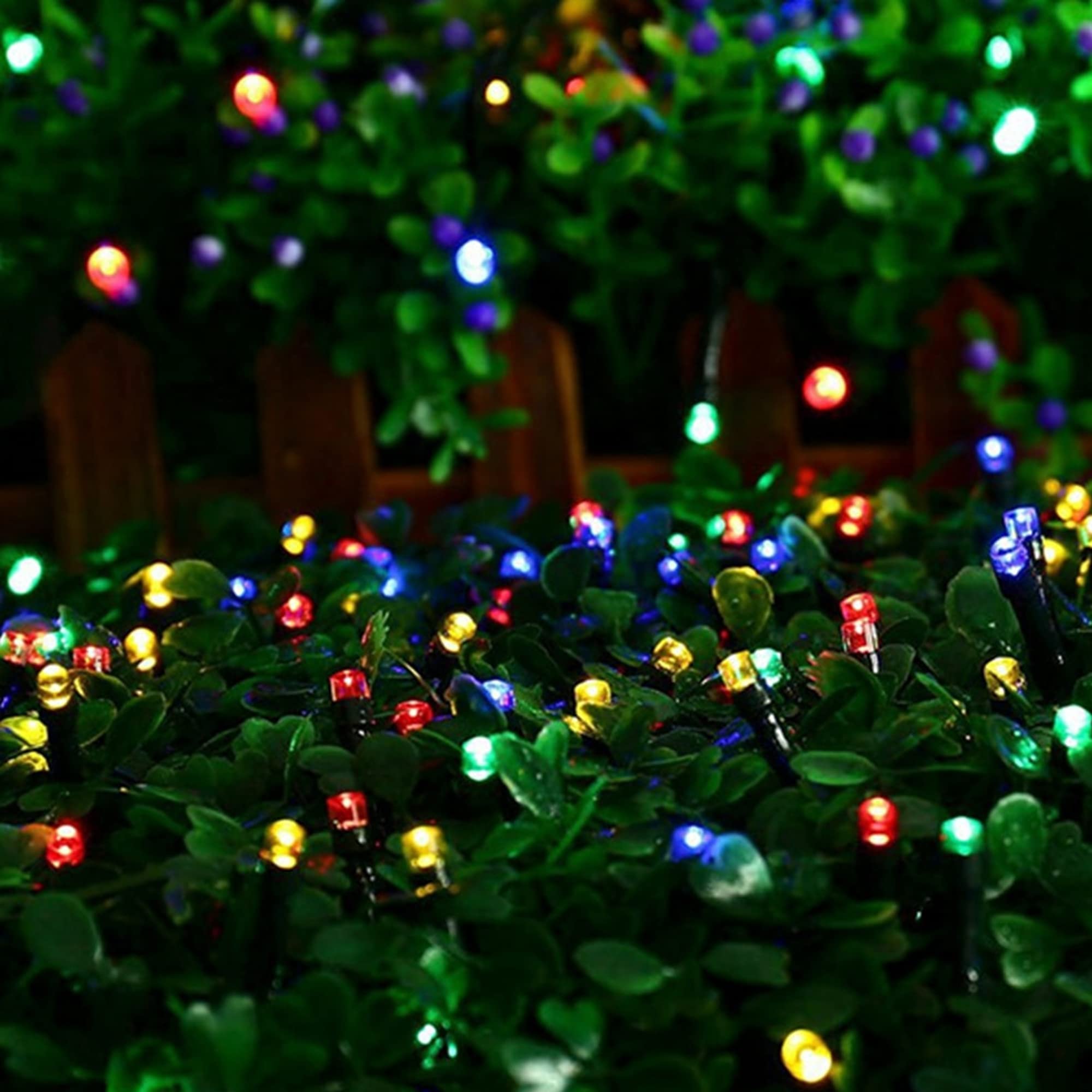 Dazzle Bright heat free lighting suited for weddings and outdoor gatherings.