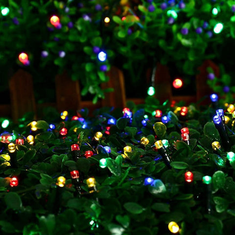 Dazzle Bright heat free lighting suited for weddings and outdoor gatherings.