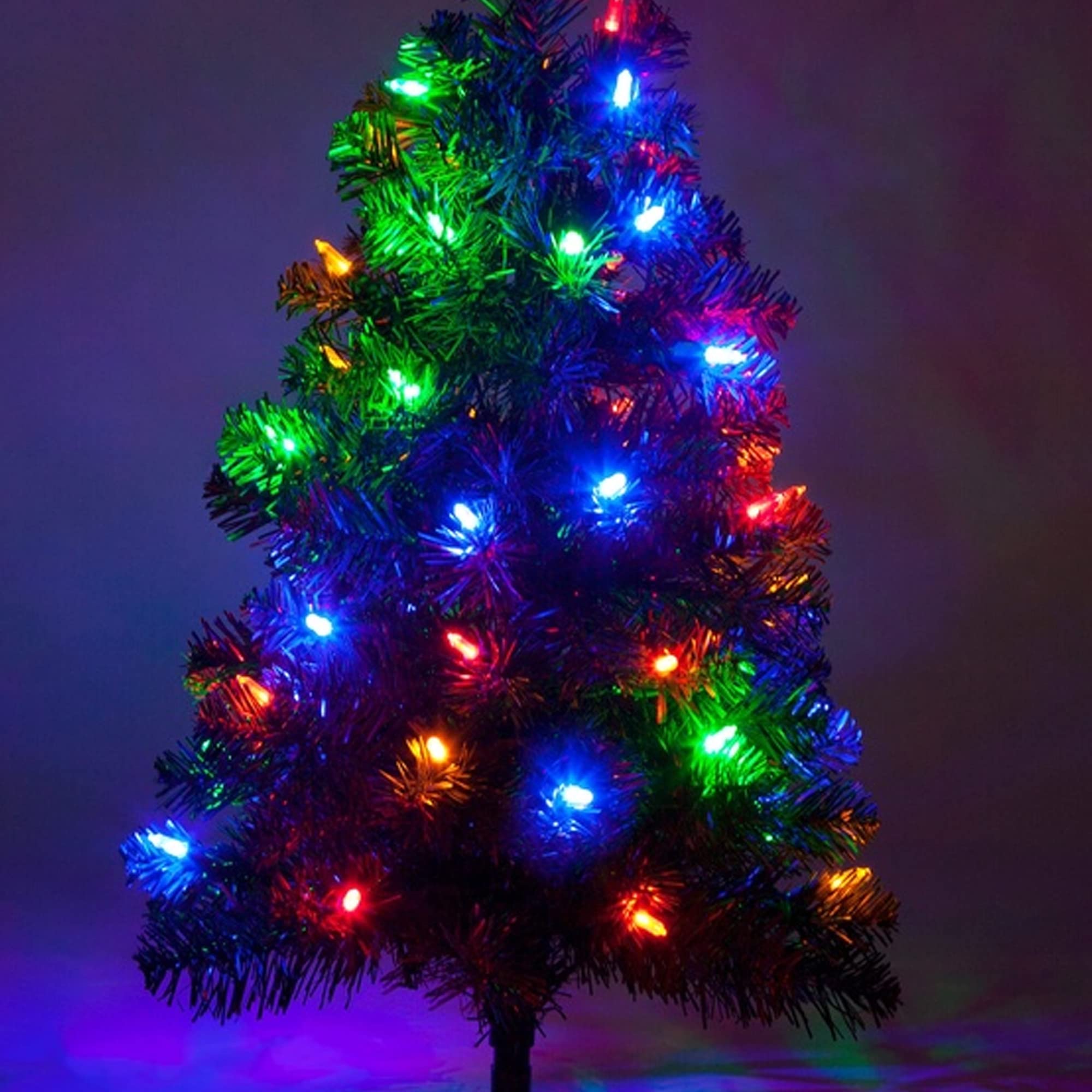 Dazzle Bright multi-colored string lights add festive warmth