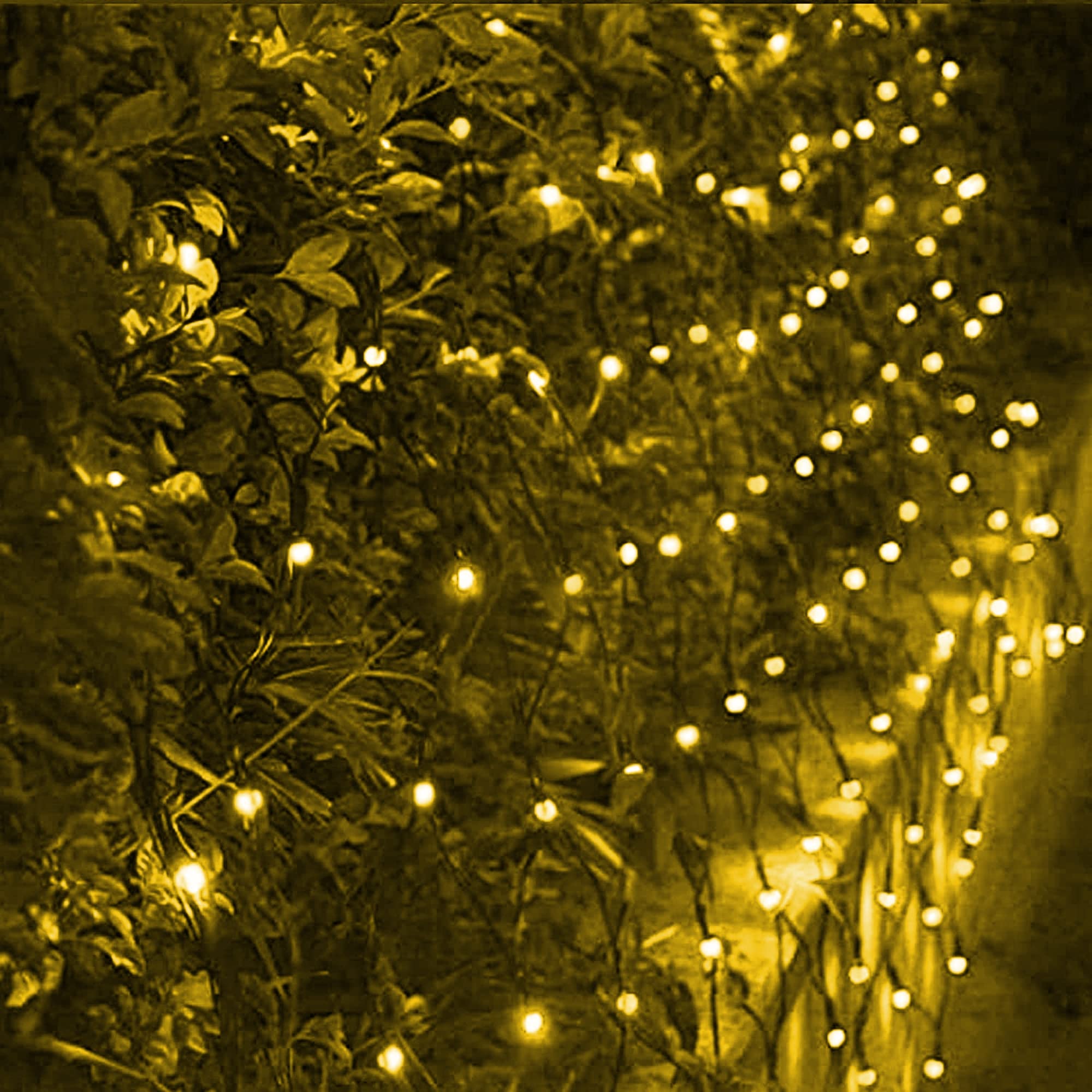 Dazzle Bright ideal for weddings, parties, and festive celebrations.