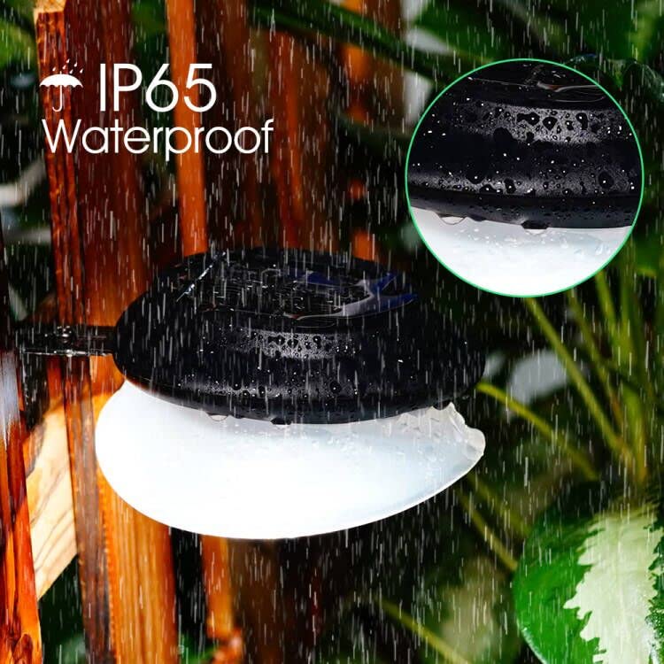 DBF outdoor lighting enhances garden paths with waterproof brightness