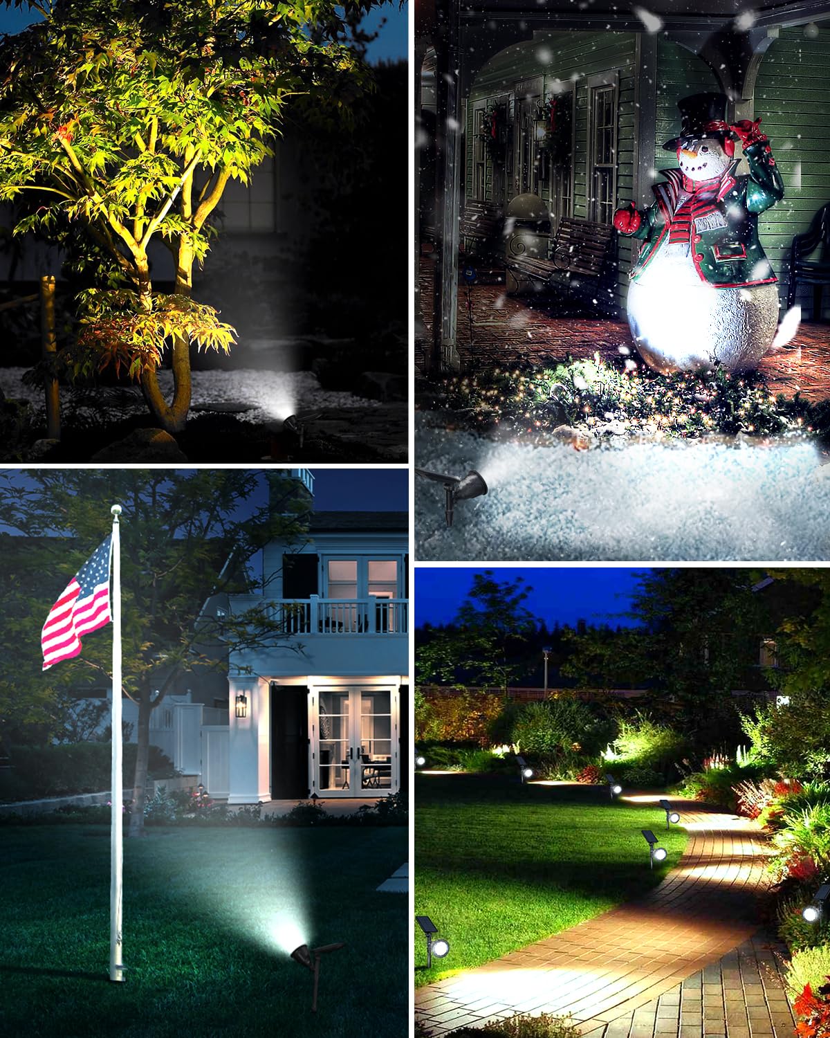 DBF two-pack provides broad yard coverage and a cohesive look.